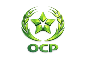 OCP 3D